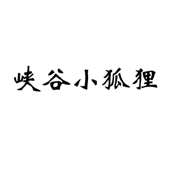 关于小狐狸app是什么的信息