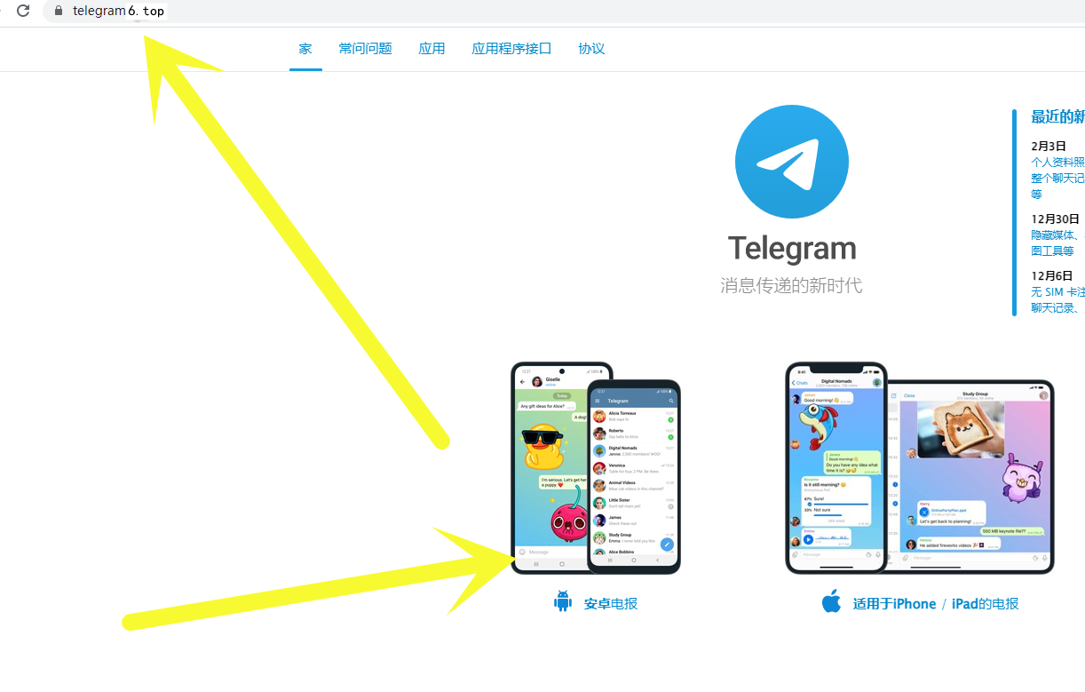 包含国内怎么使用纸飞机APP的词条