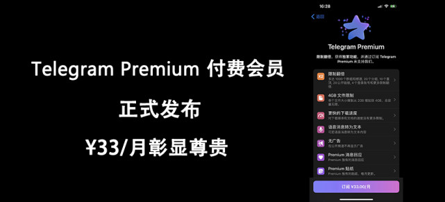 telegram付费订阅功能-telegram为什么网速很慢