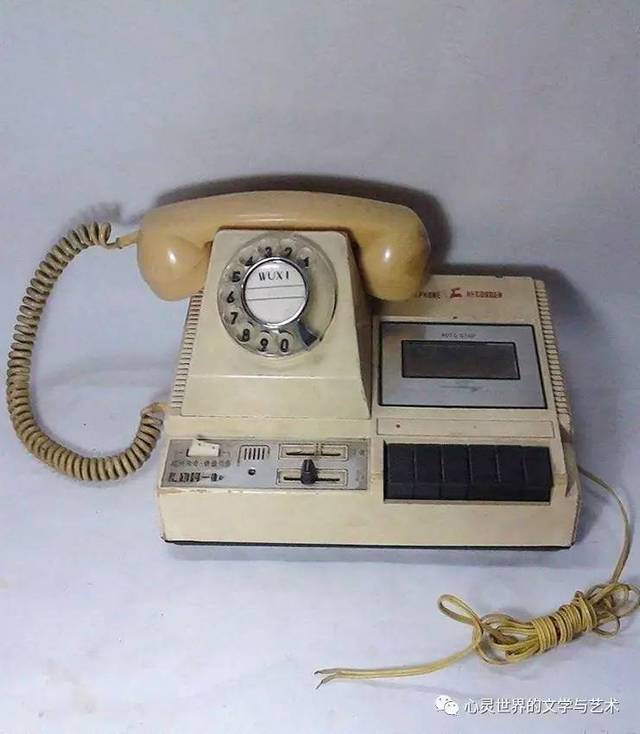 发电报声音录音-母画眉鸟发电报叫声音