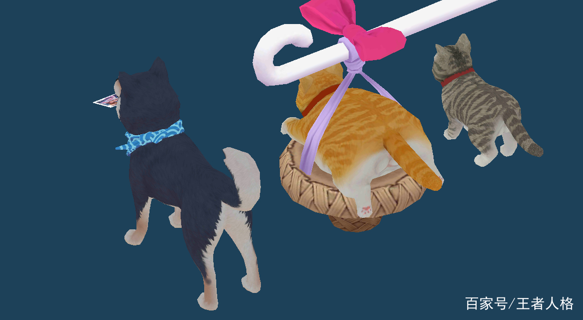 猫咪新皮肤-猫咪新皮肤图片
