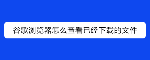 电报下载文件在哪里查看-telegeram苹果怎么注册