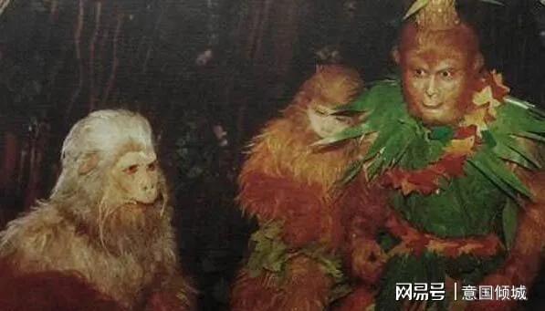 花果山电报猴无消音视频-花 果 山 电 报 员