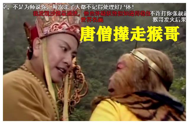 猴哥打电报-电报猴骂人视频