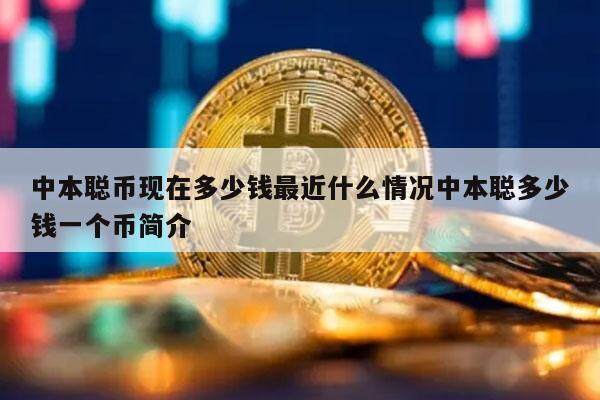 包含中本聪币如何交易的词条