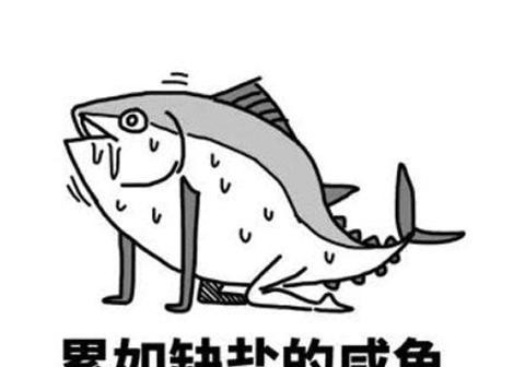 电报员口吐芬芳录音-一开口就是老电报员了