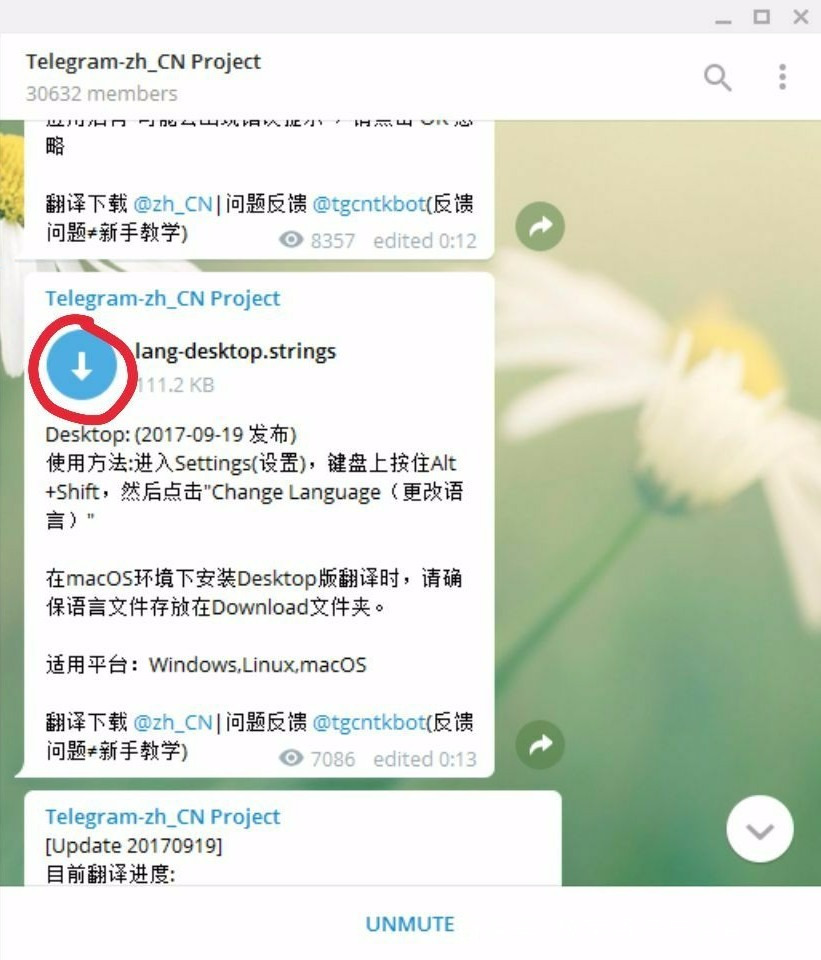 电报群无法播放此视频-telegram无法播放此视频