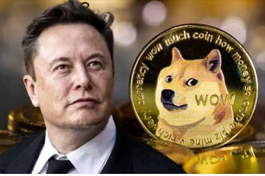 包含狗狗币为什么涨不上去?未来有投资价值吗?的词条