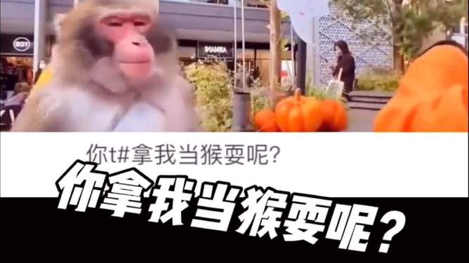 电报猴原声mp3-电报猴原视频无消音