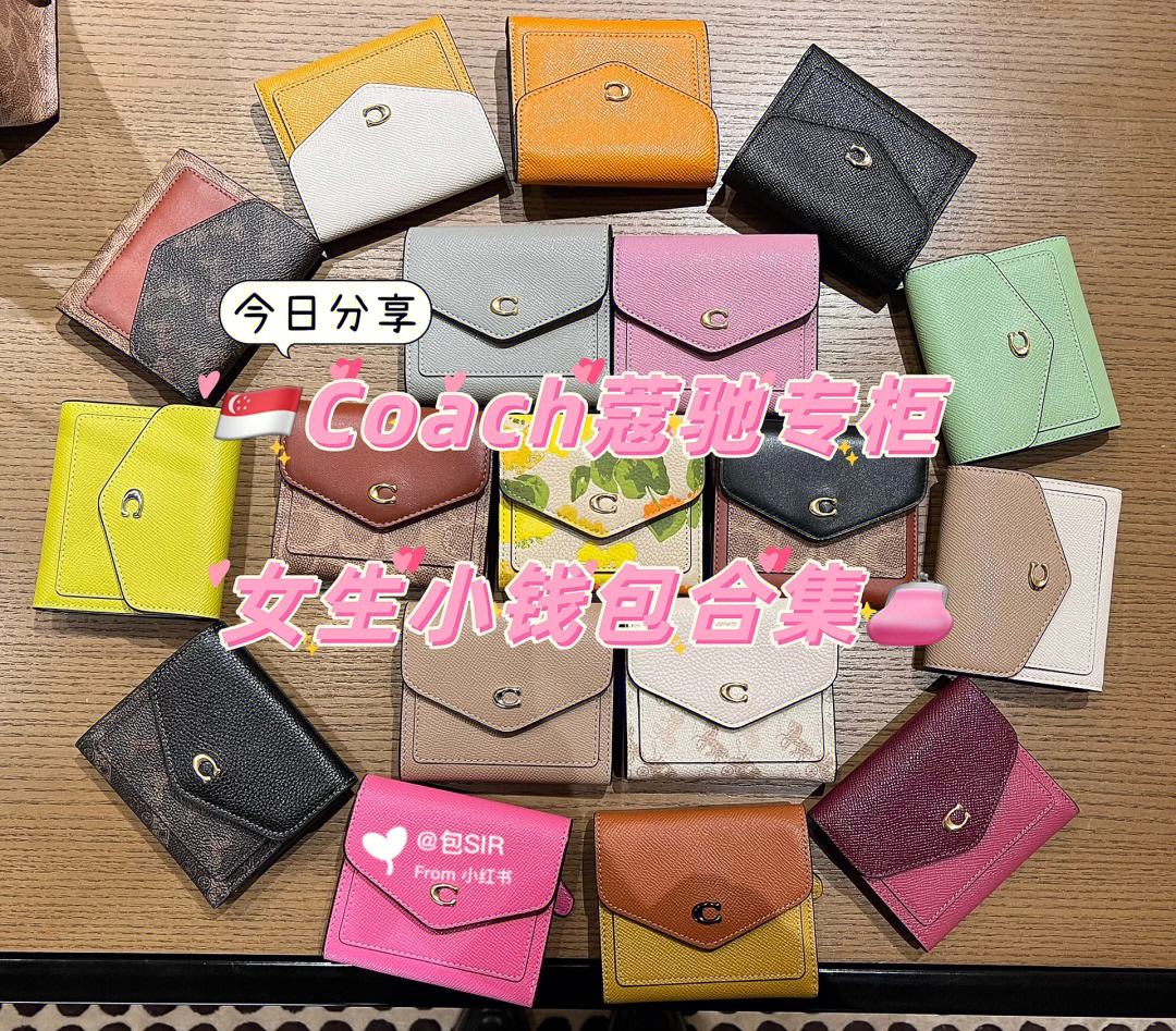 包含小狐狸钱包可不可以通过钱包地址导入的词条