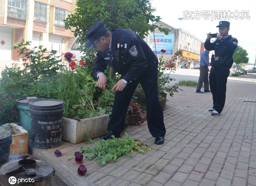 周大爷是电报员吗-那是因为周大爷扶摇直上,现在也是社会上的好人物