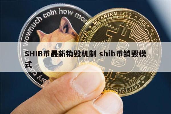 shib-影视仓app官方下载