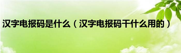 电报码怎么用-电报码是什么意思