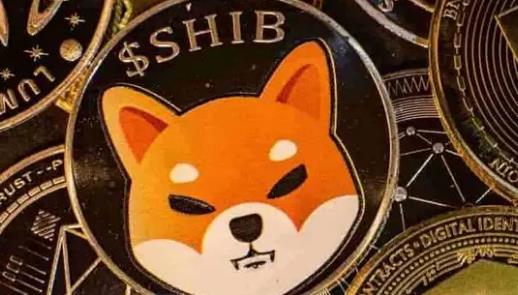 屎币-屎币翻了多少倍