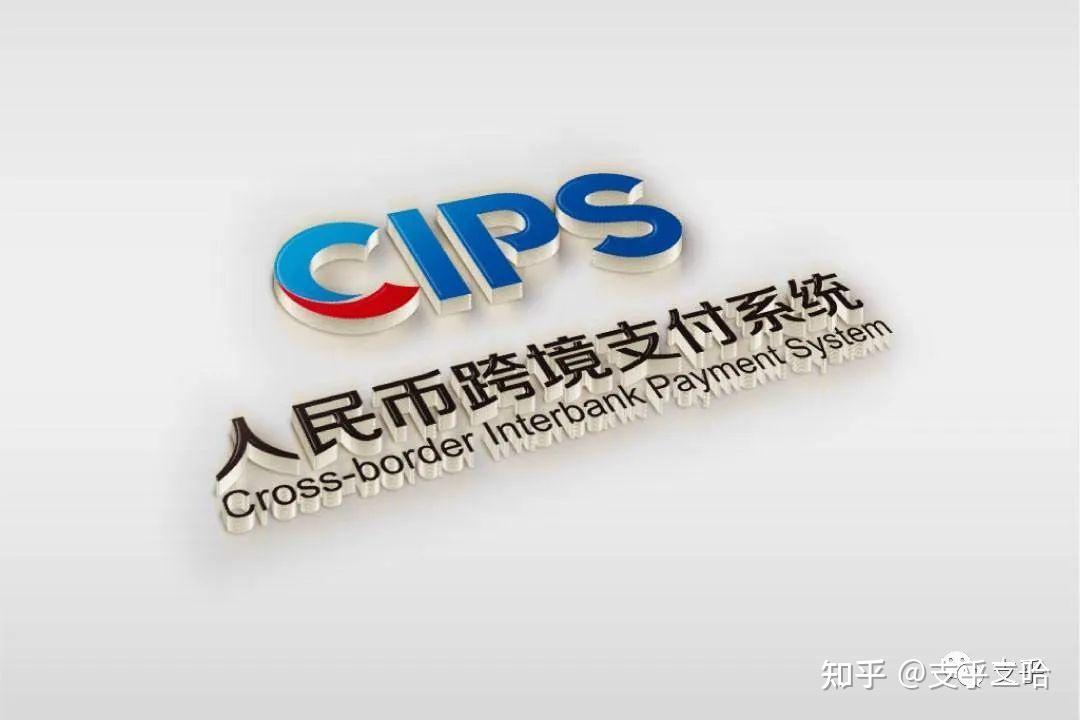 境内外币支付系统支持几个币种-境内外币支付系统可以处理什么支付类业务