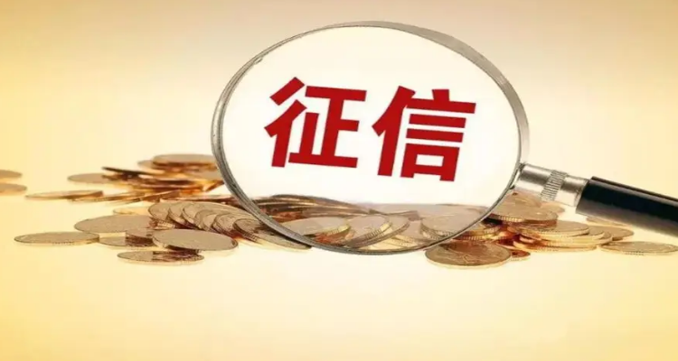 信用中国不良记录清除办理-信用中国不良记录清除办理条例