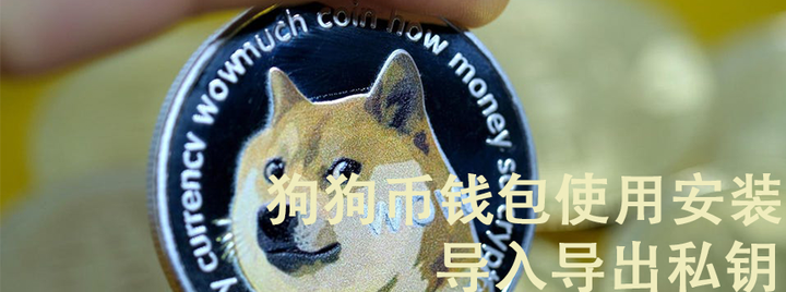 狗狗币钱包下载官网-狗狗币钱包110版本里的币不见了