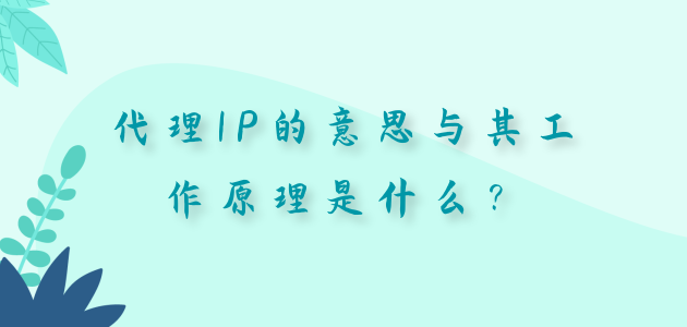 代理ip-代理ip地址查询