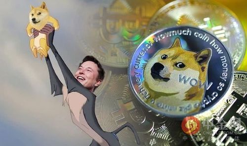 关于狗狗币历史价格表2020的信息