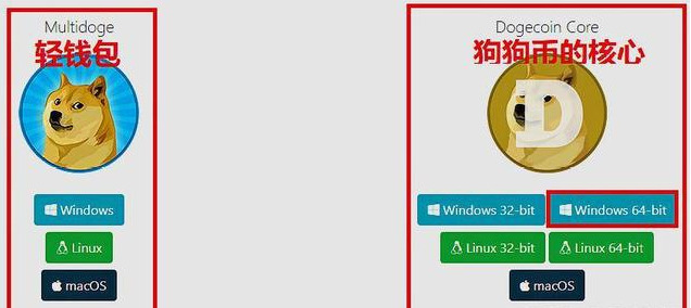 狗狗币钱包备份-狗狗币钱包不同步数据能转出吗