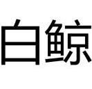 白鲸加速器-白鲸加速器破解版