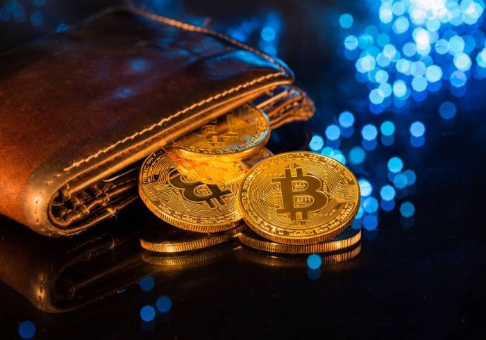 哪些钱包支持btc链-哪些钱包支持btc链接付款