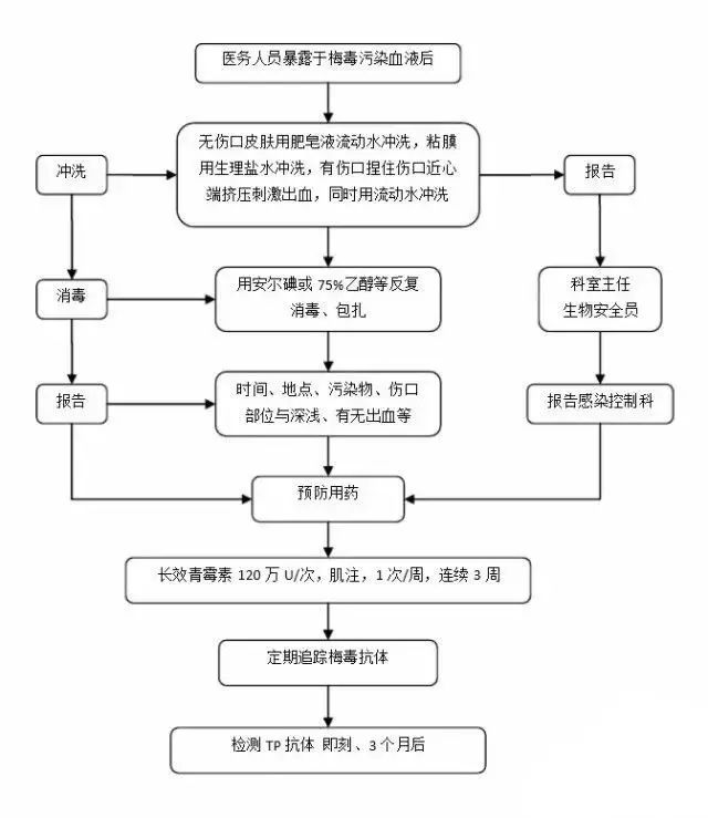 tp流程-TP流程图中代表什么
