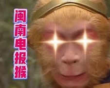 电报猴消音视频的简单介绍
