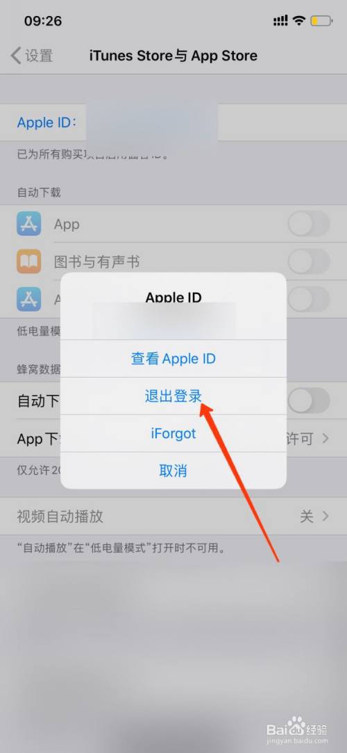 苹果手机怎么下载软件-苹果手机怎么下载软件分身