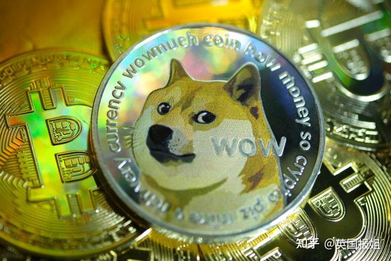 狗狗币为什么猛涨-狗狗币为何涨势这么猛