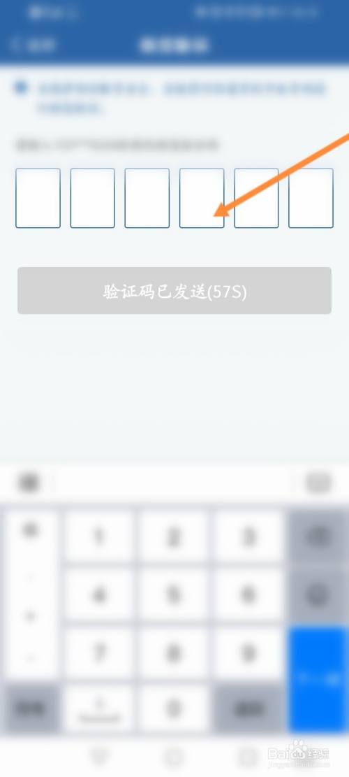 苹果下载飞机软件收不到验证码怎么回事-苹果下载飞机软件收不到验证码怎么回事儿