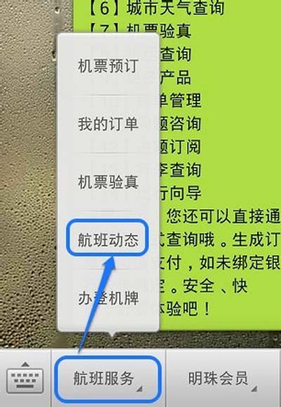 飞机聊天官方软件-飞机聊天软件叫什么