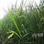 u钱包靠谱吗-u钱包2021