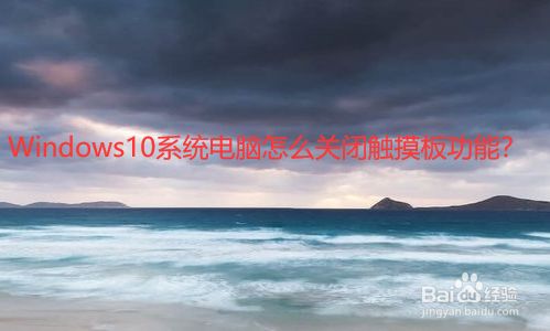 电报用户-电报用户量