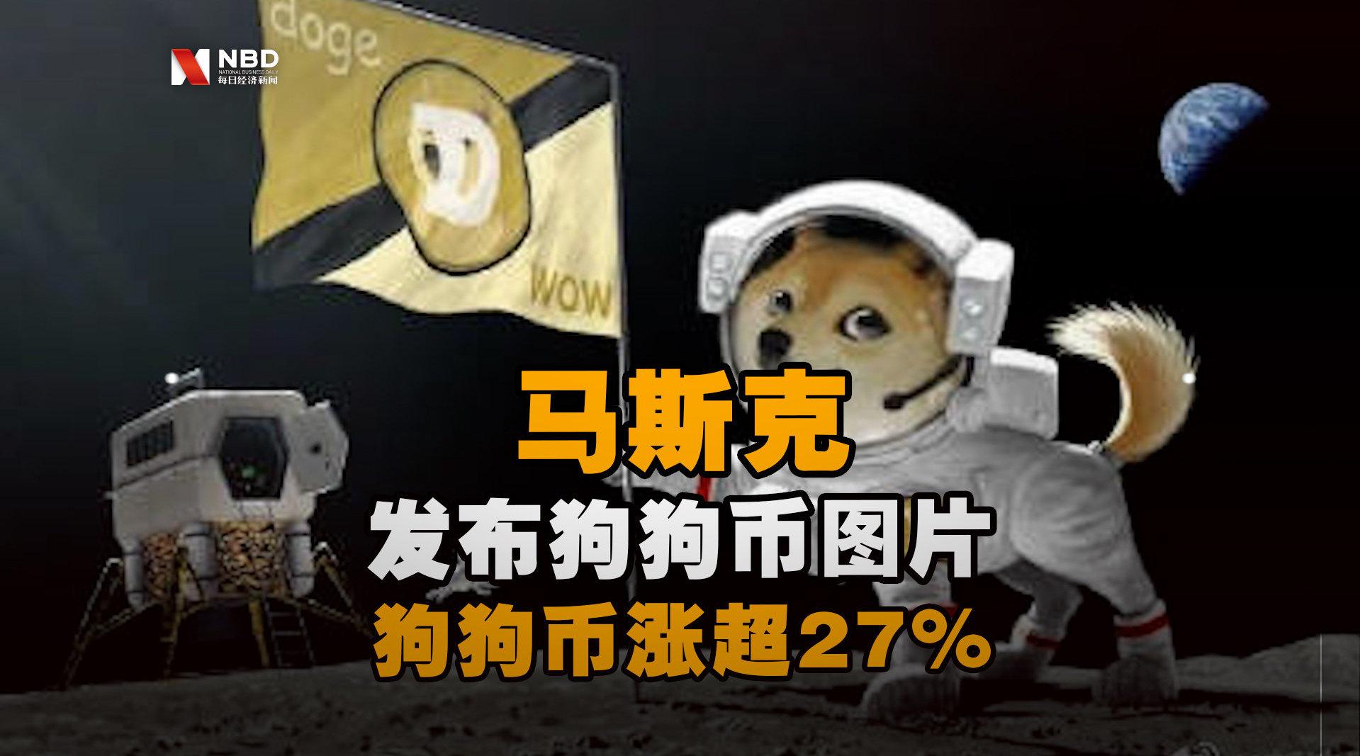 狗狗币-3年前买了5000狗狗币现在多少了