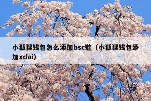 小狐狸钱包app中文版-小狐狸钱包中文版320