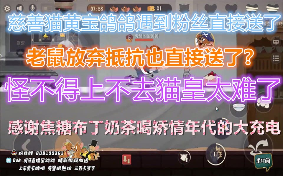 一只宝鸽鸽-肉鸽批发多少钱一只