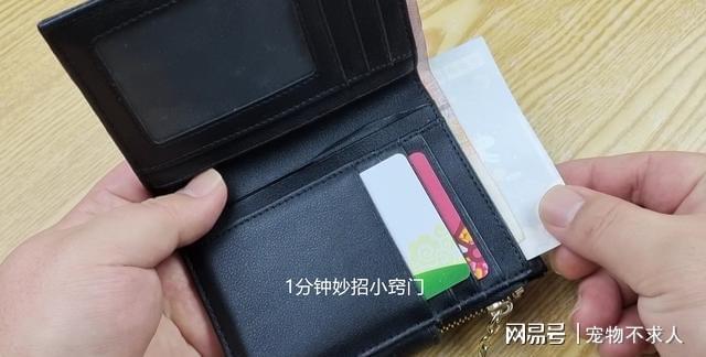 身份钱包hd是什么意思-身份钱包和单币钱包的区别