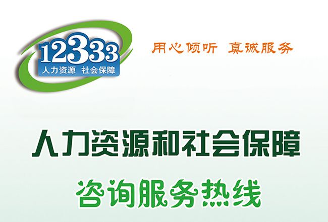 12333社保查询网官网-国家12333社保查询网官网