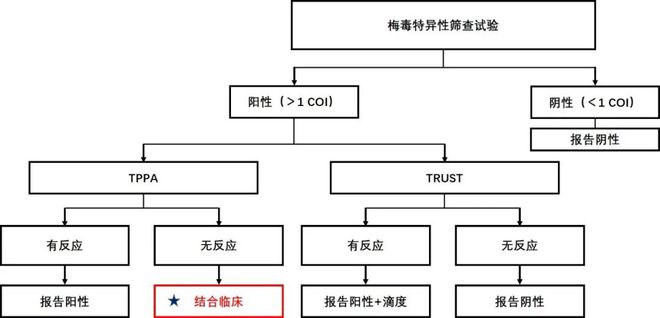 抗tp阳性-抗TP阳性,igG阴性