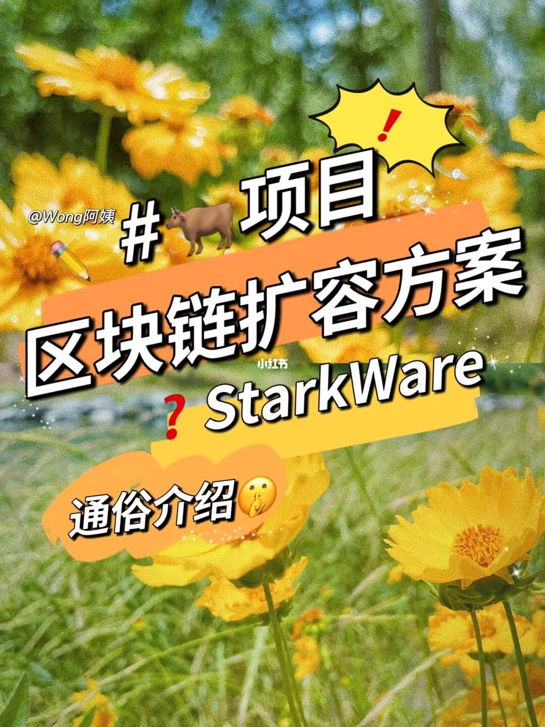 关于dydx币未来能涨到多少的信息
