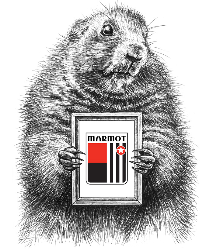 土拨鼠品牌logo-土拨鼠品牌marmot官网