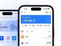 tp钱包转账余额不足-tp钱包交易记录成功了不到账