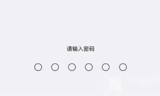 苹果不能下载盼之吗-苹果不能下载pp助手吗