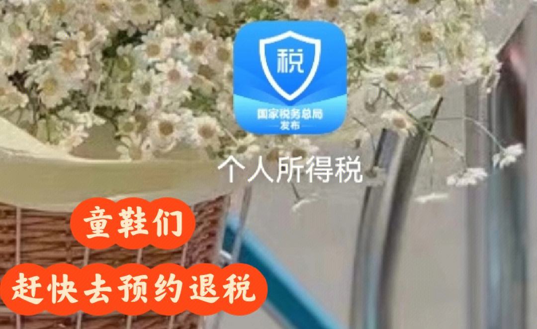 下载个人所得税app官网下载-个人所得税app下载官方免费下载