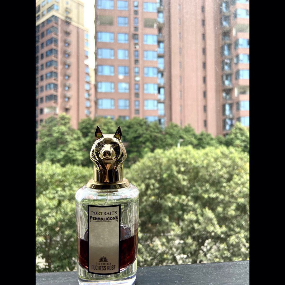 狐狸图案的红酒-有一只狐狸图案的红酒