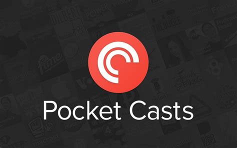 pocket翻译-welt pocket翻译
