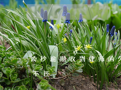 读秒钱包企业版靠谱吗-读秒钱包是哪个公司旗下的