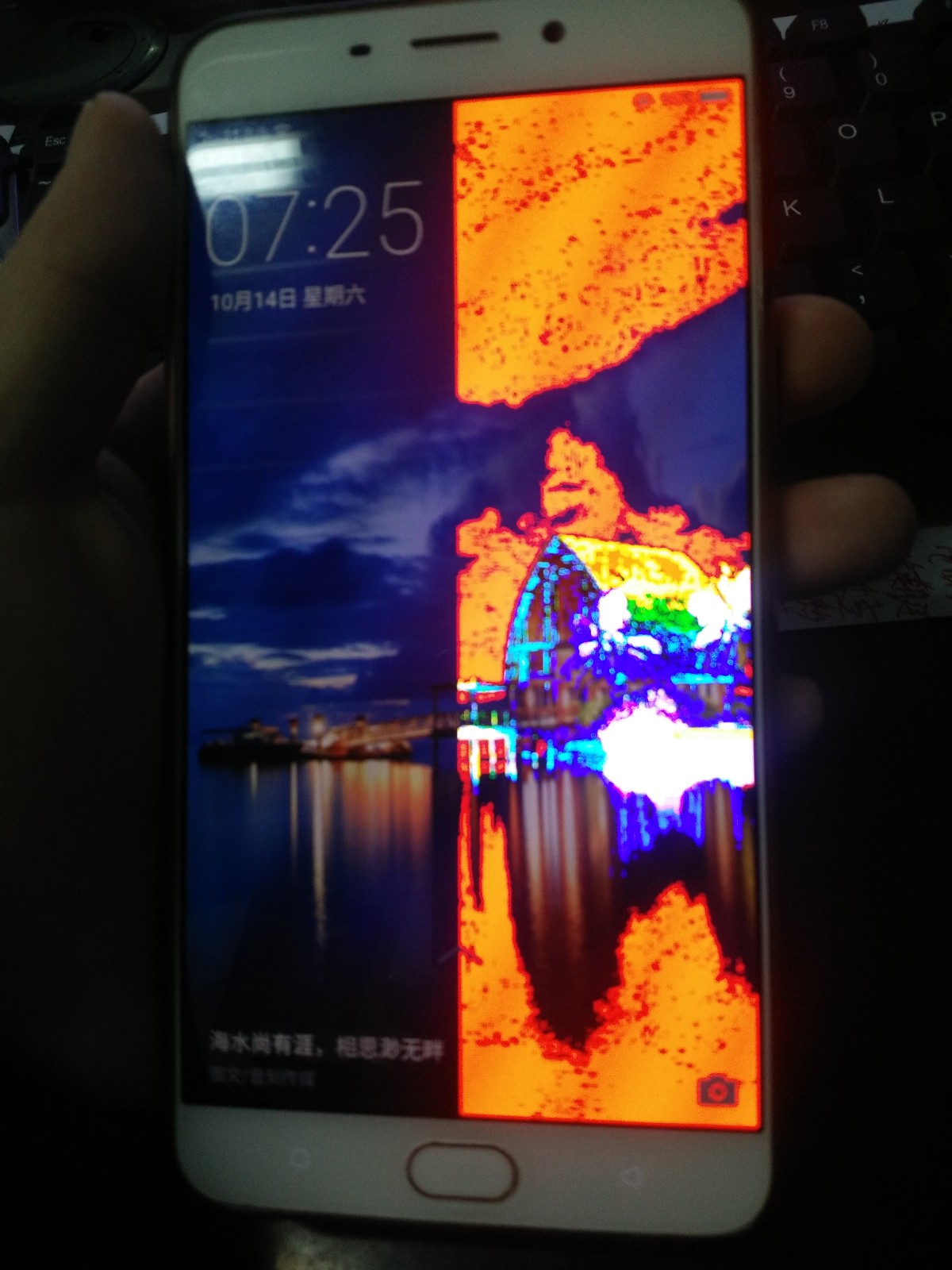 小狐狸钱包白屏怎么回事-小狐狸钱包设置中文在哪里