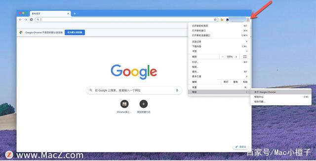 Google浏览器网页版-google浏览器网页版关闭后保存的账号密码就清除了
